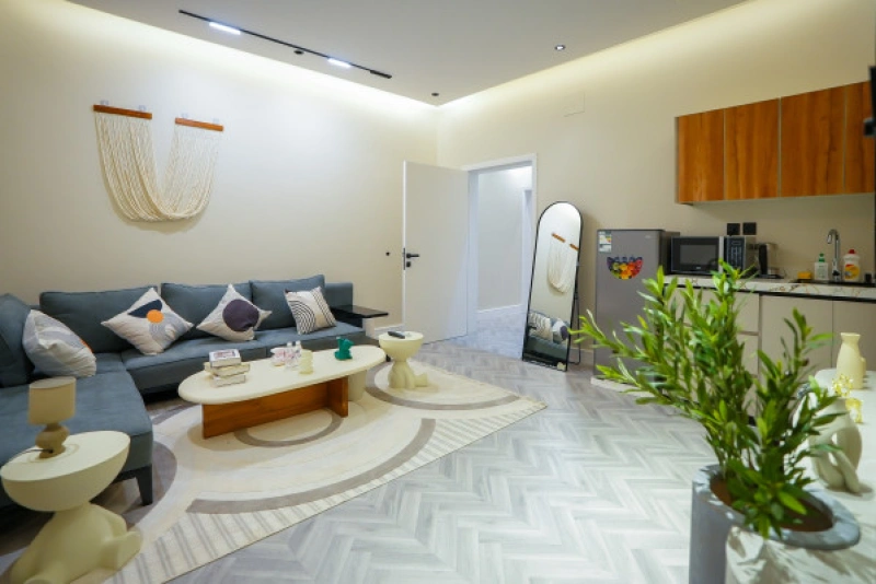 Modern one bedroom apartment with a living room