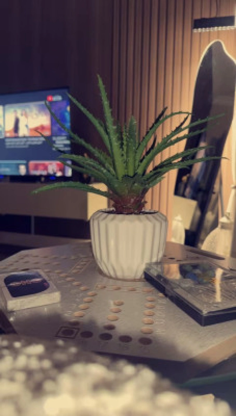 استيدوا بطابع فندقي