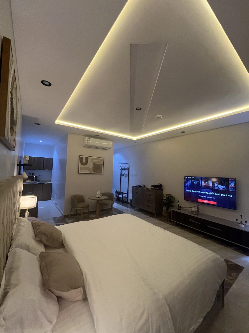 استديو انيق بدخول ذاتي AX49